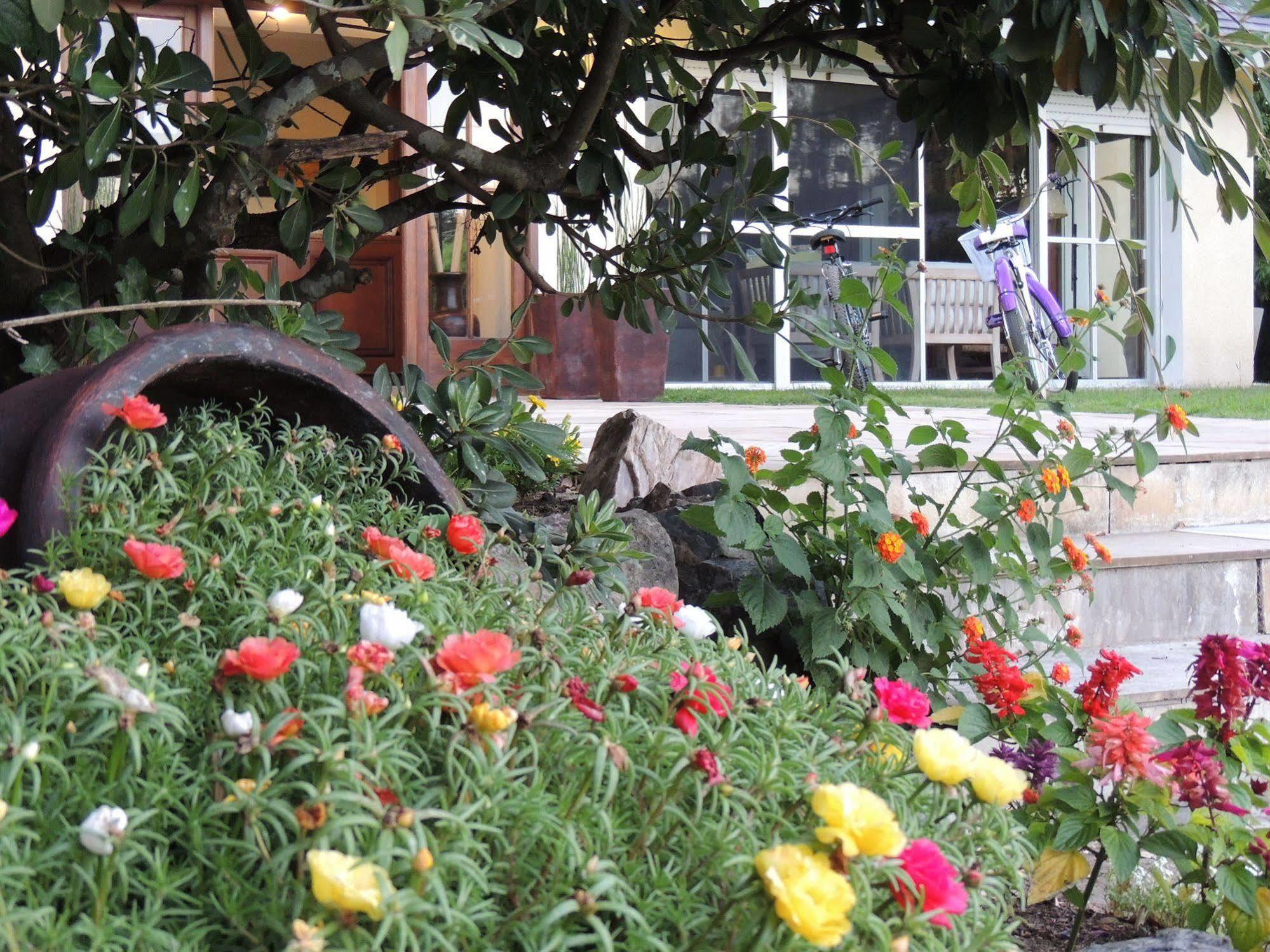 Petit Chateau Hotel Boutique Punta del Este Eksteriør bilde